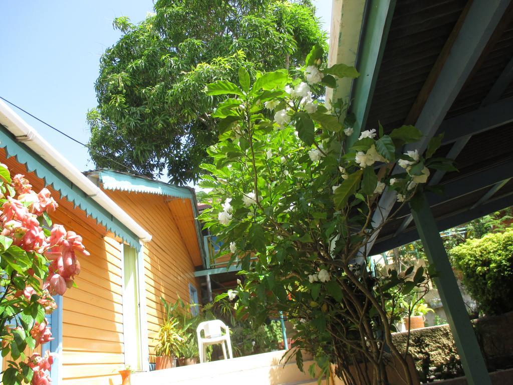Hotel Flemming Tree Providencia Island ภายนอก รูปภาพ