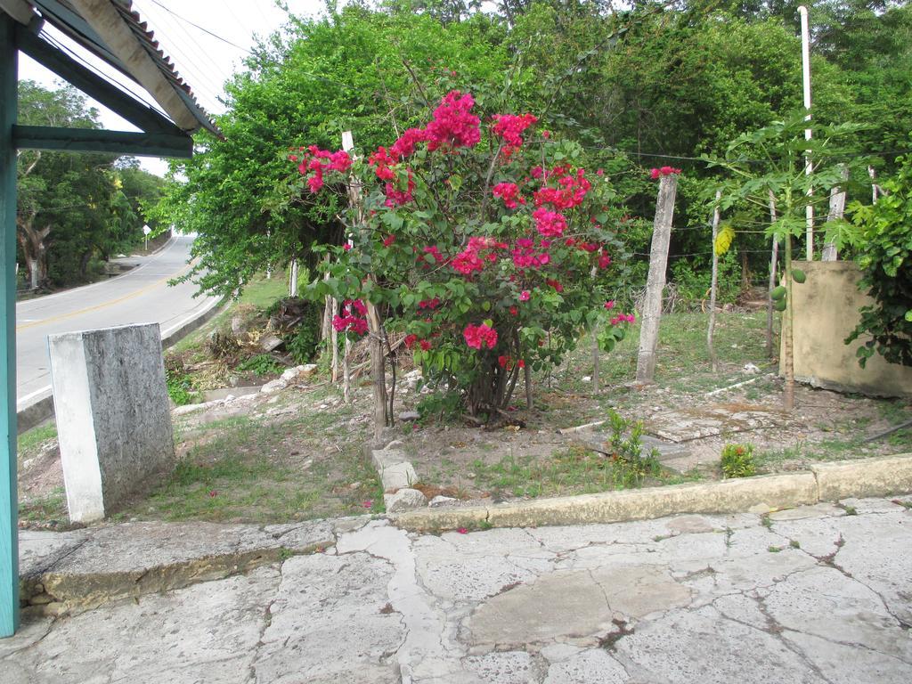 Hotel Flemming Tree Providencia Island ภายนอก รูปภาพ