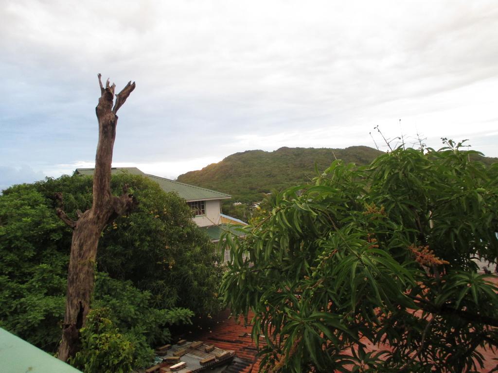 Hotel Flemming Tree Providencia Island ภายนอก รูปภาพ