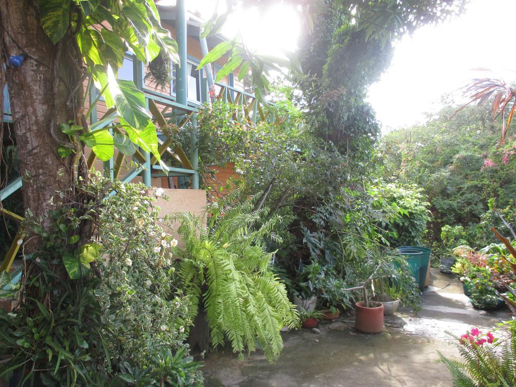 Hotel Flemming Tree Providencia Island ภายนอก รูปภาพ