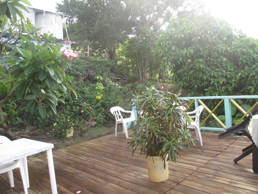 Hotel Flemming Tree Providencia Island ภายนอก รูปภาพ