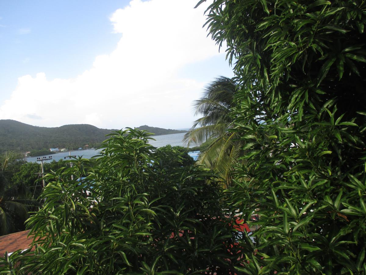 Hotel Flemming Tree Providencia Island ภายนอก รูปภาพ
